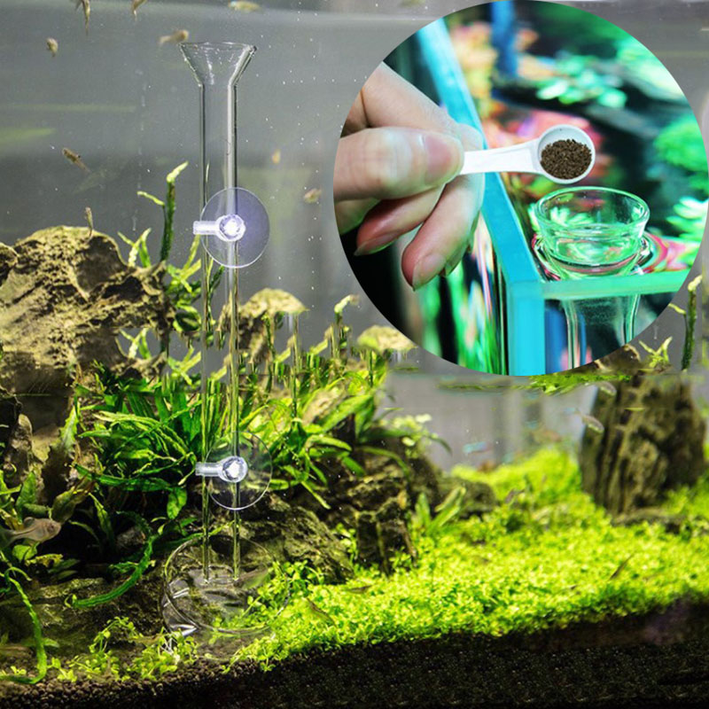 Tube d'alimentation en verre p - Meal Prep Glass avis et prix
